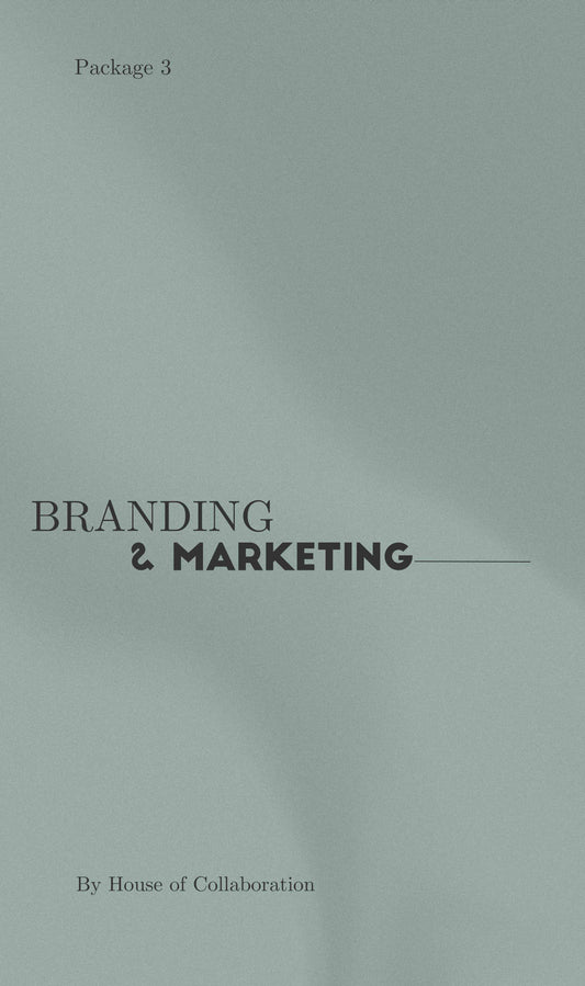 Package 3 | Branding & Marketing With Consulting